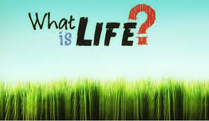 حقیقت زندگی