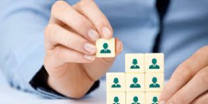 عرصه مدیریت