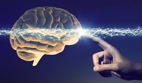 مغز و قدرت